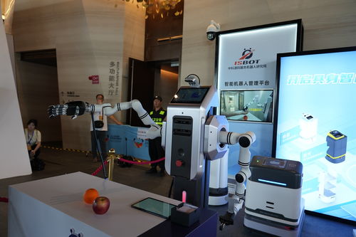 成都发布三年行动计划 打造全国人形机器人研发制造增长极与示范应用新高地